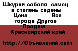 Шкурки соболя (самец) 1-я степень седены › Цена ­ 12 000 - Все города Другое » Продам   . Красноярский край